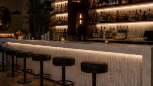 Best Home Bar Designs